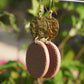 Riviera Gold Coin Dangle In Pale Terracotta